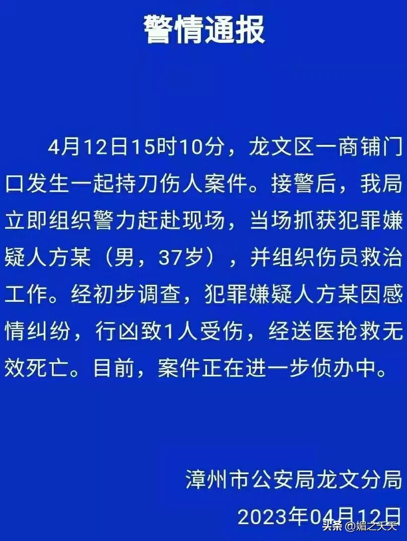 福建漳州持刀伤人案背后真相探究