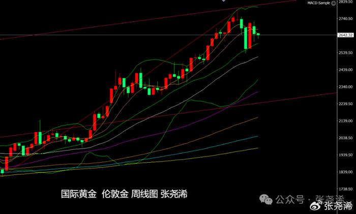 金价震荡调整走势分析与市场展望