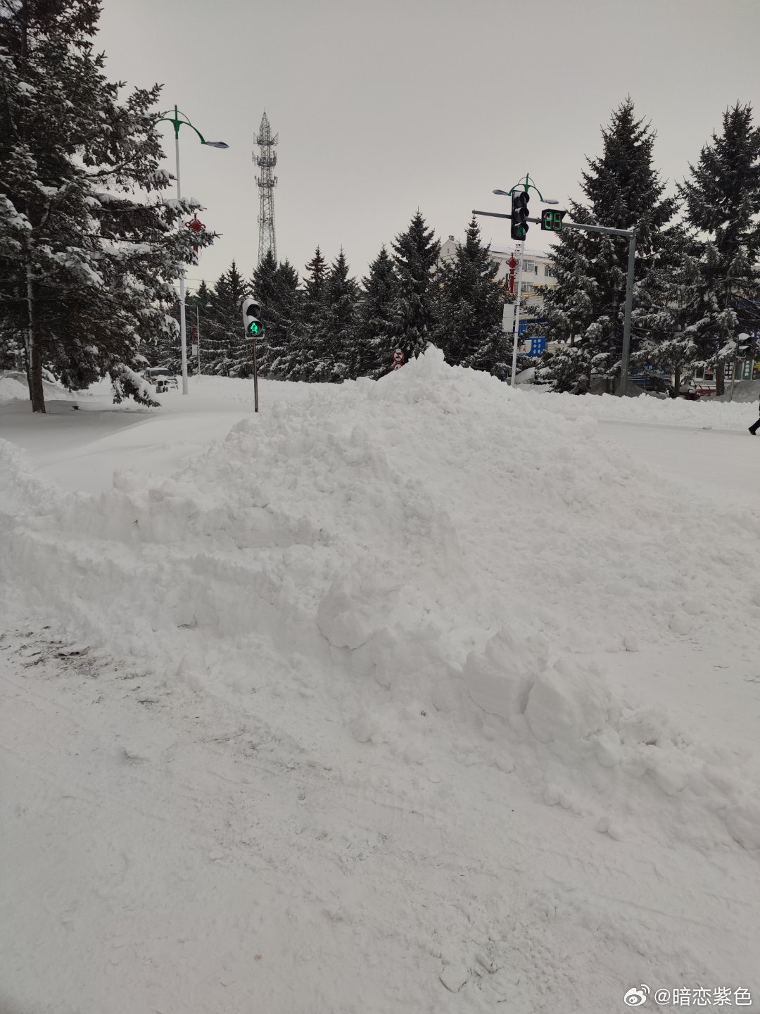 黑龙江鹤岗破纪录降雪，雪域城市的挑战与机遇