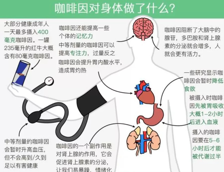 咖啡过量摄入对神经系统的影响及潜在风险分析