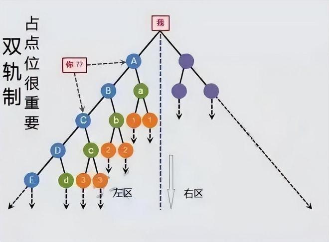 双轨并行，探索与创新的双向驱动之路