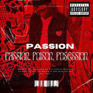 Passion的发音，探索激情的语音魅力之旅