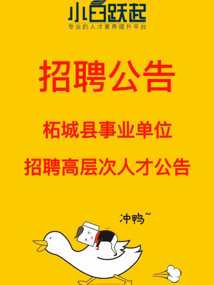 柘城县水利局招聘启事，最新职位空缺与申请要求