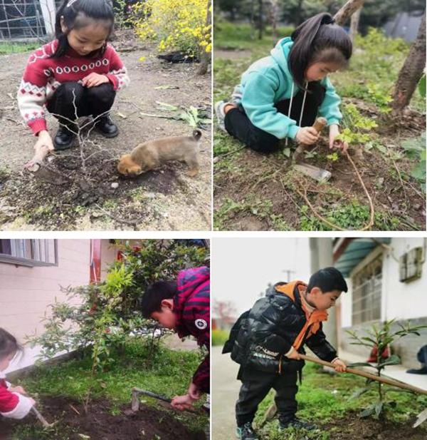 什邡市小学最新项目，开启未来教育新篇章