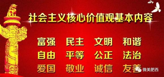 陈家集乡最新招聘信息全面解析