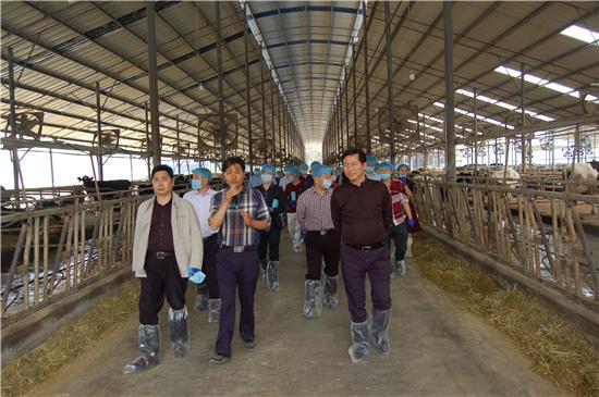 青神县住房和城乡建设局最新资讯速递