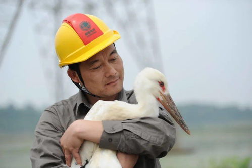 湖北教师遭电击身亡悲剧背后的反思与启示