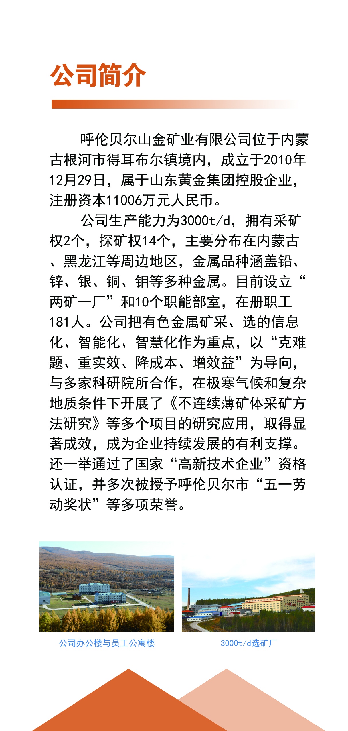 阿尔山市自然资源和规划局最新招聘公告解析