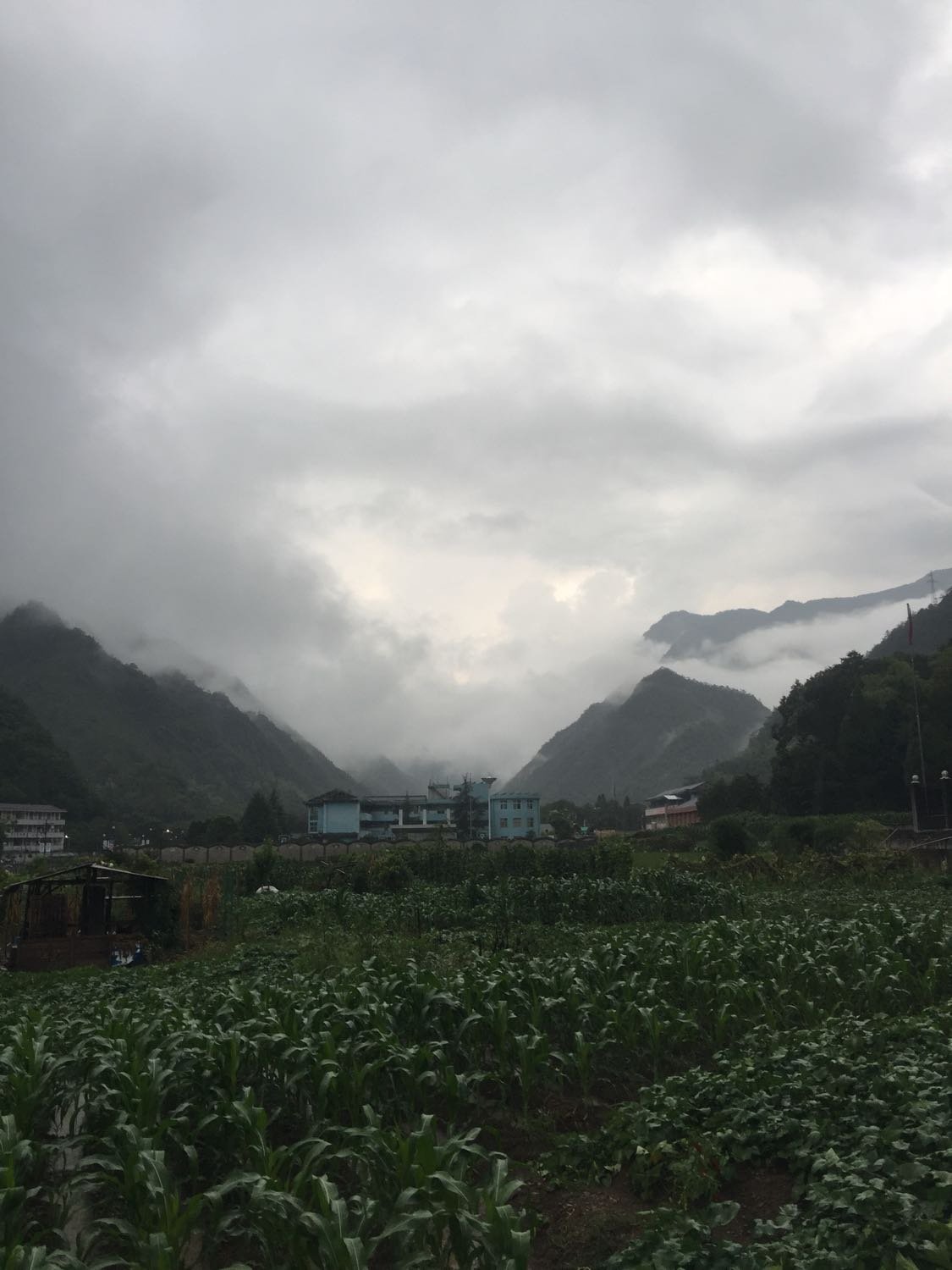 仙阳镇天气预报更新通知