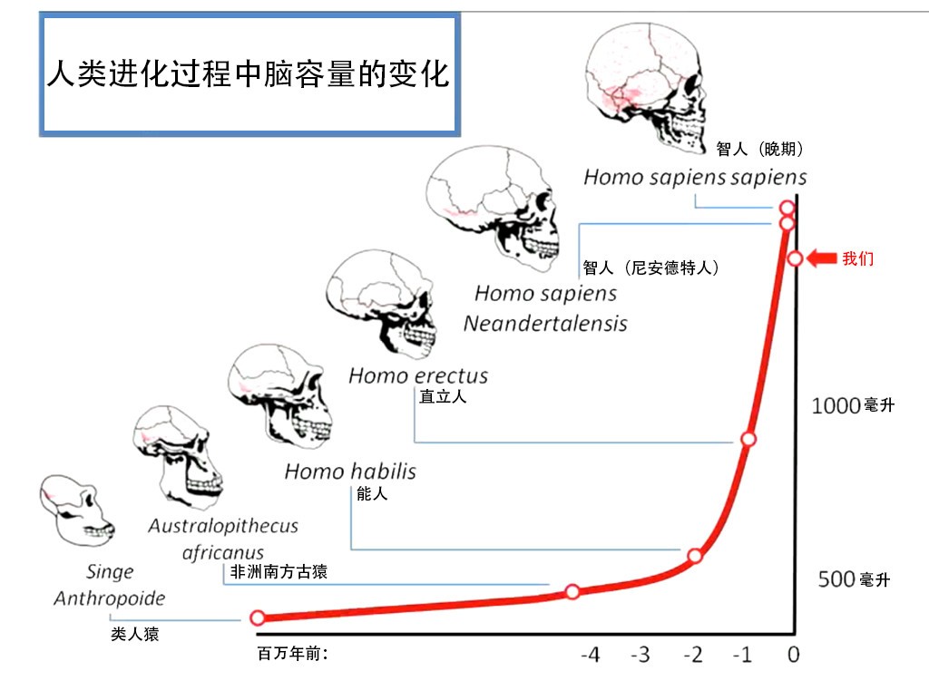 技术支持 第55页