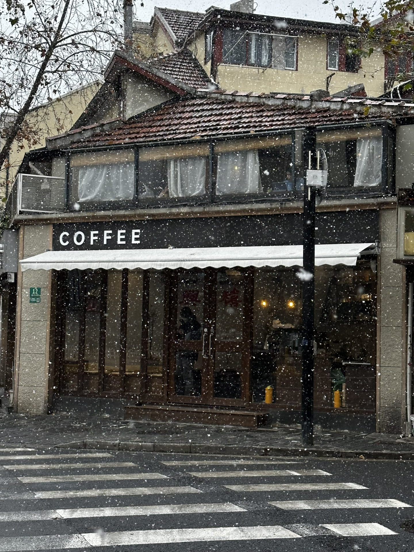 上海雪落纷飞