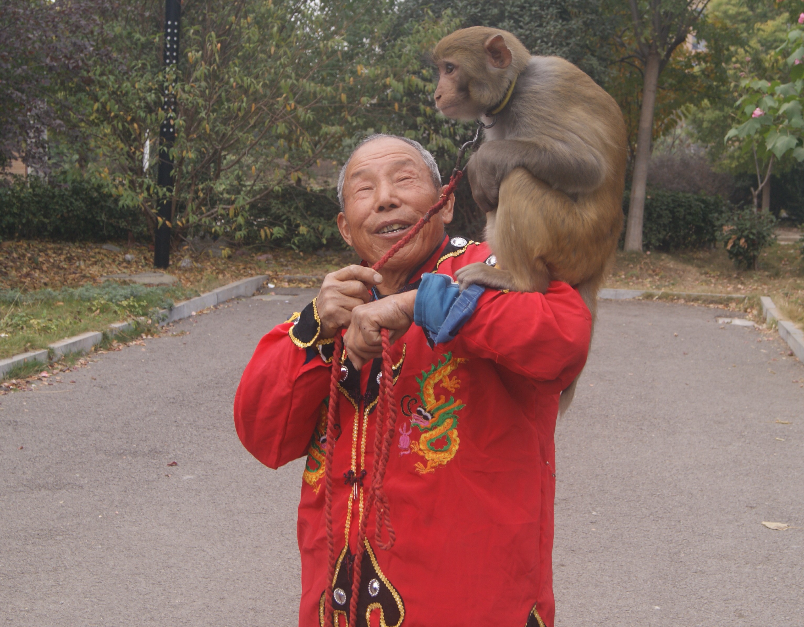 岁月见证，72岁爷爷与猴子的29年深情守护故事