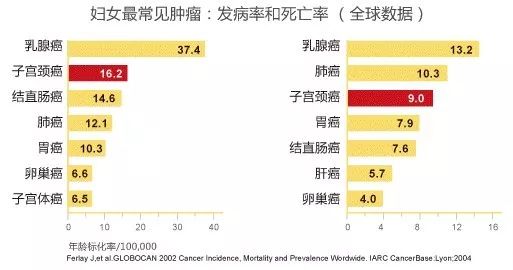 全球内异症患者妇女群体，挑战与希望共存（约1.9亿受影响）