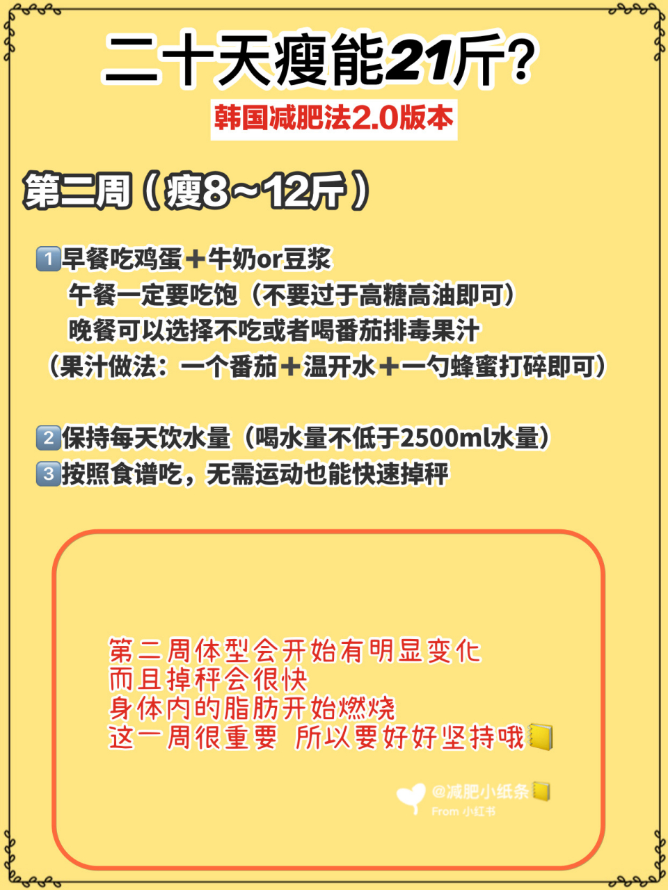 韩国终极21天魔鬼减肥挑战，重塑身材的终极之战